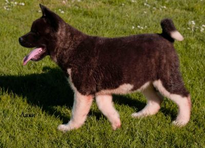 viberimage202105010653081619860087