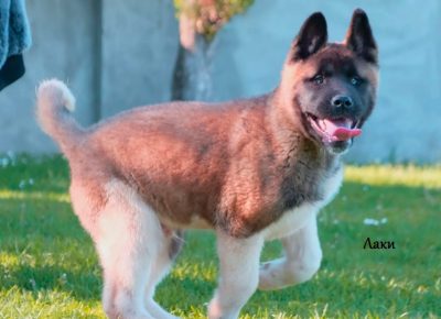 viberimage202105010653091619860086