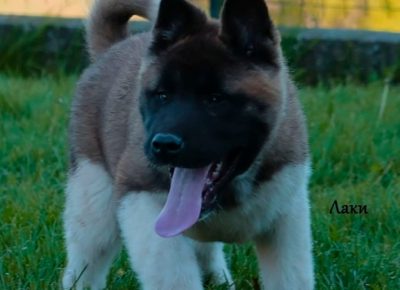 viberimage202105010653111619860084