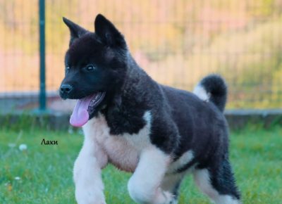 viberimage202105010653121619860085