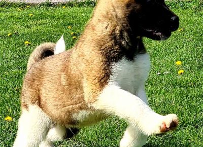 viberimage202105010653161619860089