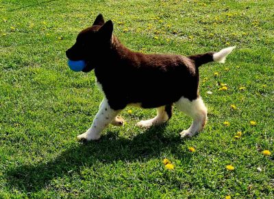 viberimage202105010653171619860088