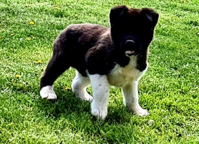 viberimage202105010653181619860092