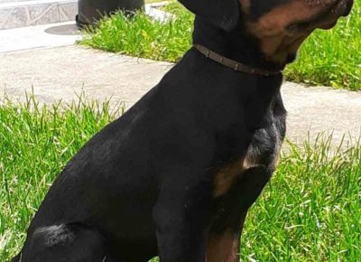 viberimage202105221435281621711325