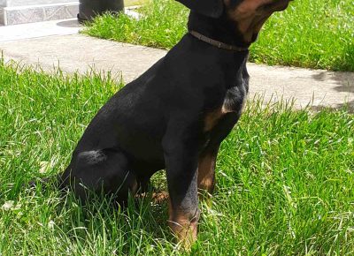 viberimage202105221435291621711327