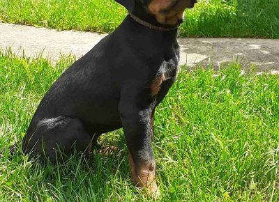 viberimage202105221435391621711323