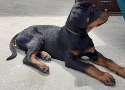 viberimage202105221435401621711326