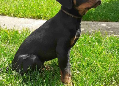 viberimage202105221435411621711325