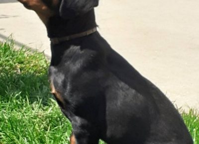 viberimage202105221435431621711327