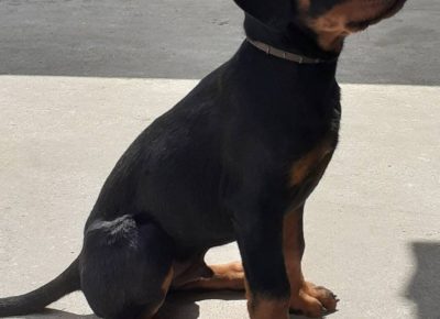 viberimage202105221435441621711324