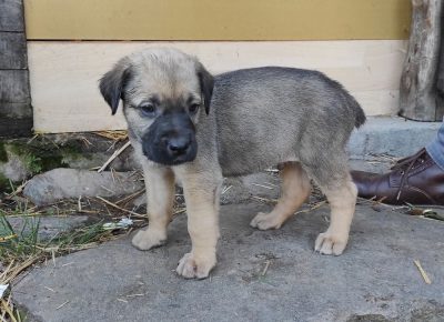 16228447073641623097391