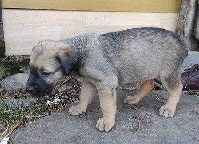 16228447073891623097392