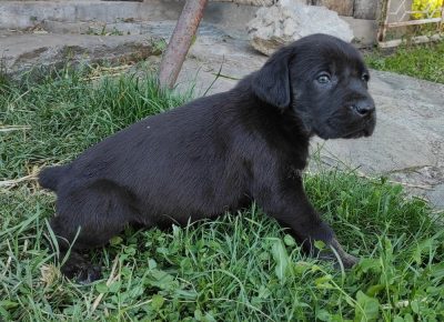 16228447074491623097393