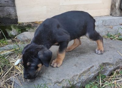 16228447074661623097392