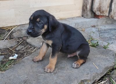 16228447074921623097394