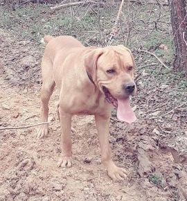 16229285333471623097393