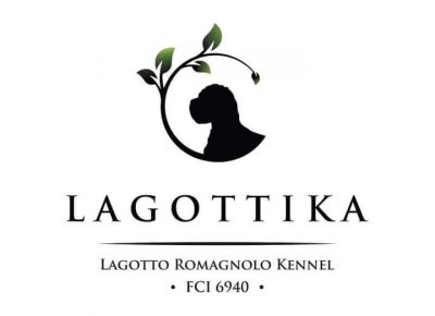 1969925412275364755699028065193835061514002n1622916921