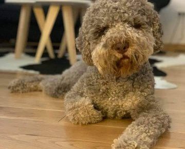 1969925412275364755699028065193835061514005n1622916920