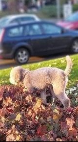 1969925412275364755699028065193835061514006n1622916920