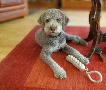 1969925412275364755699028065193835061514007n1622916921