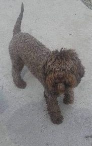 1969925412275364755699028065193835061514008n1622916920