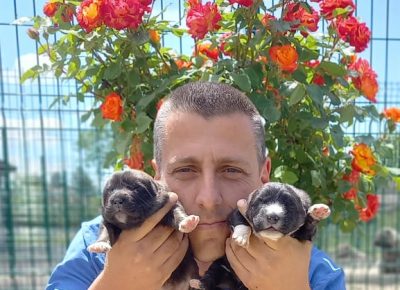 8CaucasianShepherd1623227236