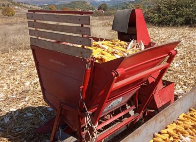 FBIMG16190239136291623051245