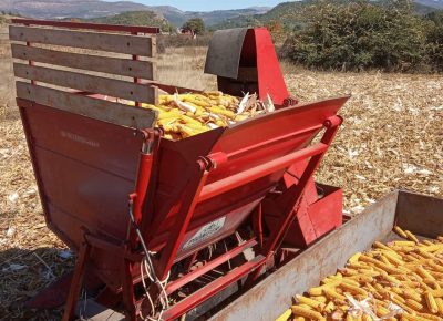 FBIMG16190239168411623051246