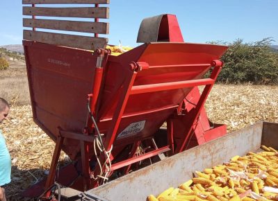 FBIMG16190239260801623051244