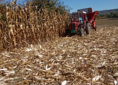 FBIMG16190239313491623051245