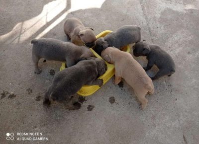 FBarminblu11623744517