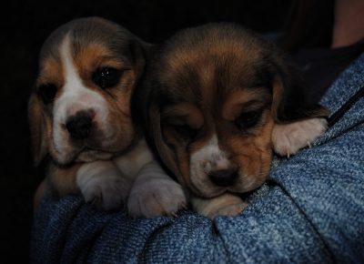 IMG4c75edbf3e0e792b1dcdd2dde8898e69V1623181214