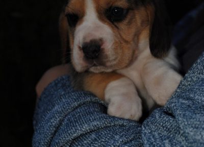 IMGa2dc2932520d264cc6a43a798953658eV1623181217