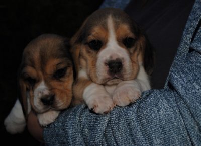 IMGbd4f5b40630df4de61cb9a3fa936fa7aV1623181212