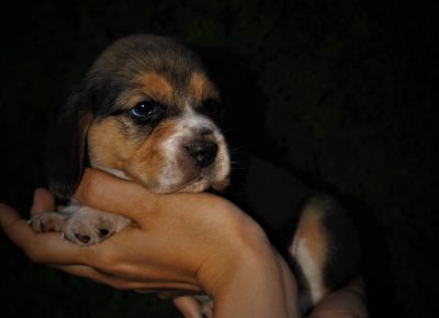 IMGbed0e5cf1ab7d4a1fd680bb71a351332V1623181208