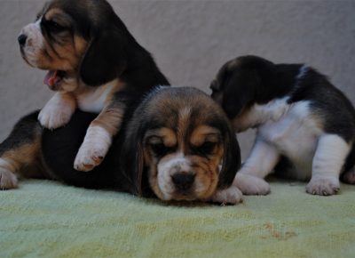 IMGdbf2fac81056b0598c22e5f2a41e4608V1623181219