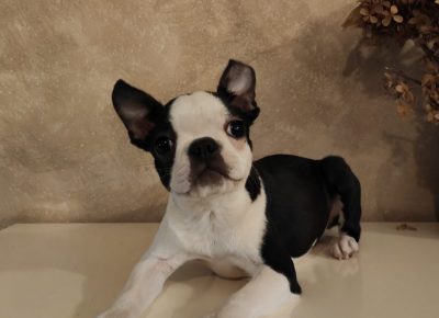 WhatsAppImage20210603at14.21.391622734955