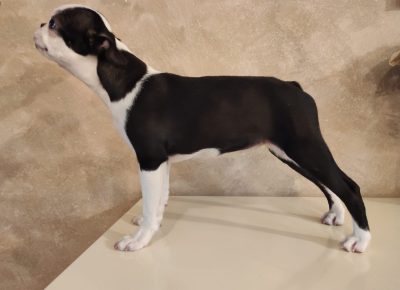 WhatsAppImage20210603at14.21.50(2)1622734955