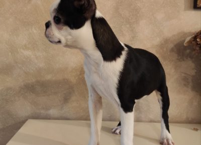 WhatsAppImage20210603at14.21.50(3)1622734954