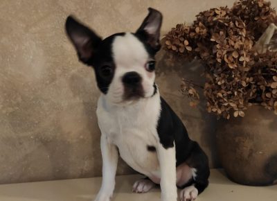 WhatsAppImage20210603at14.21.501622734955