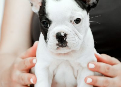 viberimage202106102053011623422982