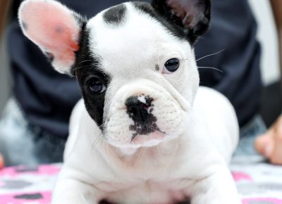 viberimage202106102053021623422982