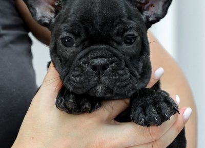 viberimage202106102053031623422982