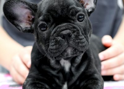 viberimage202106102053041623422981