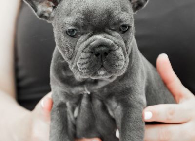 viberimage202106102053051623422981