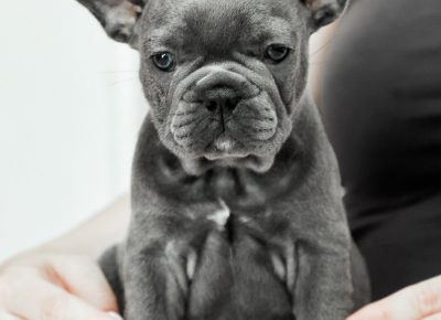 viberimage202106102053061623422982