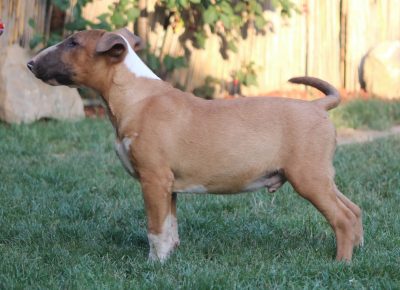 viberimage202106300755121625051349