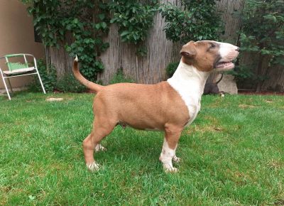 viberimage202106300755151625051349