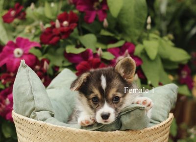 1951668165308053880906556577342235239375415n1625341648