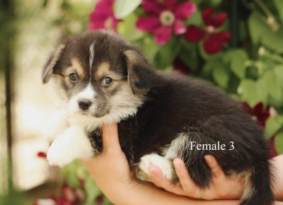 19803305639909736176635494430928539735705639n1625341650